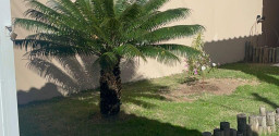Casa em Porto da Roça