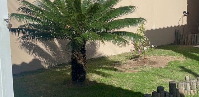Casa Em Porto Da Roça - Foto 2