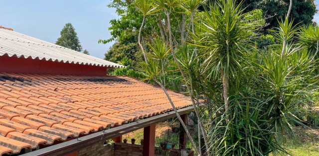 Excelente Sítio à Venda Em Palmital - Foto 6